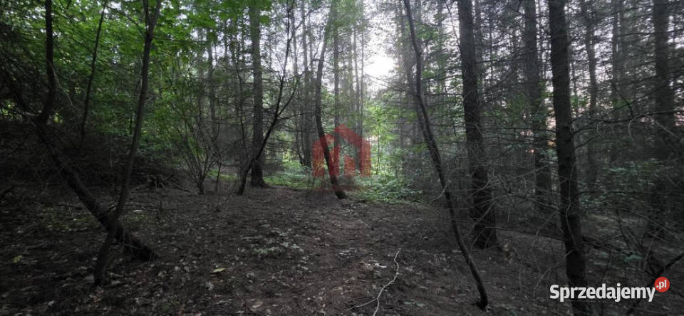 Sprzedaż działki 8500m2 Gogołów Grunty i działki