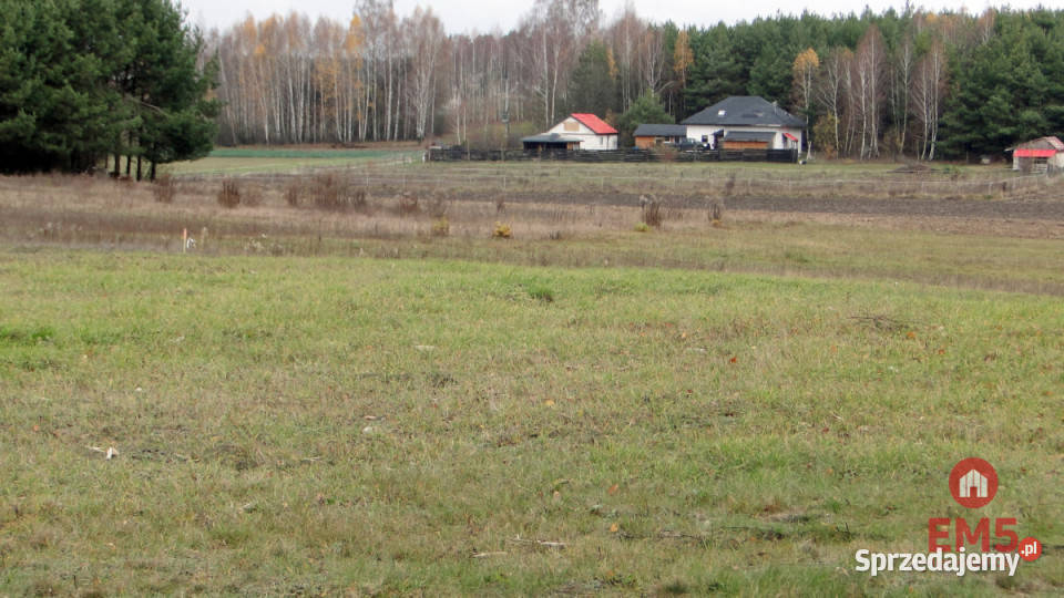 Grunt Tołcze 1000m2 sprzedam