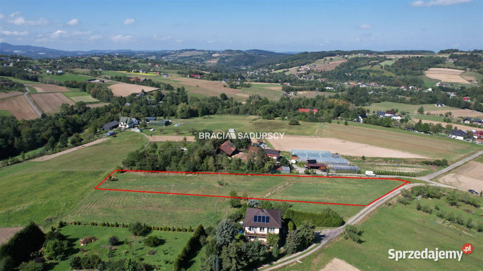 Działka Szyk 4781m2 Nieruchomości