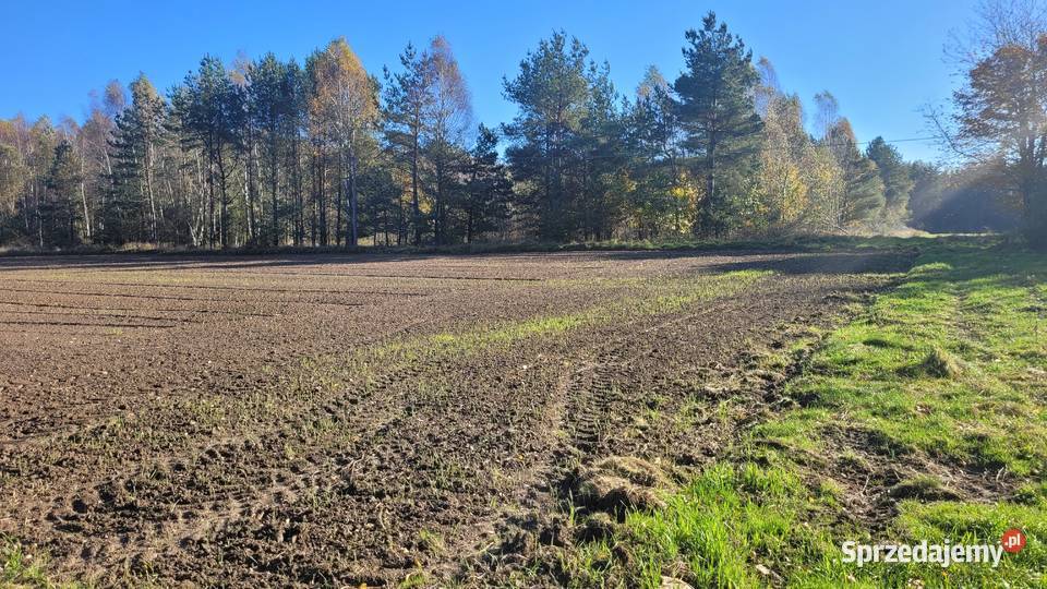 2 działki budowlane w Donimierzu k Szemuda pomorskie
