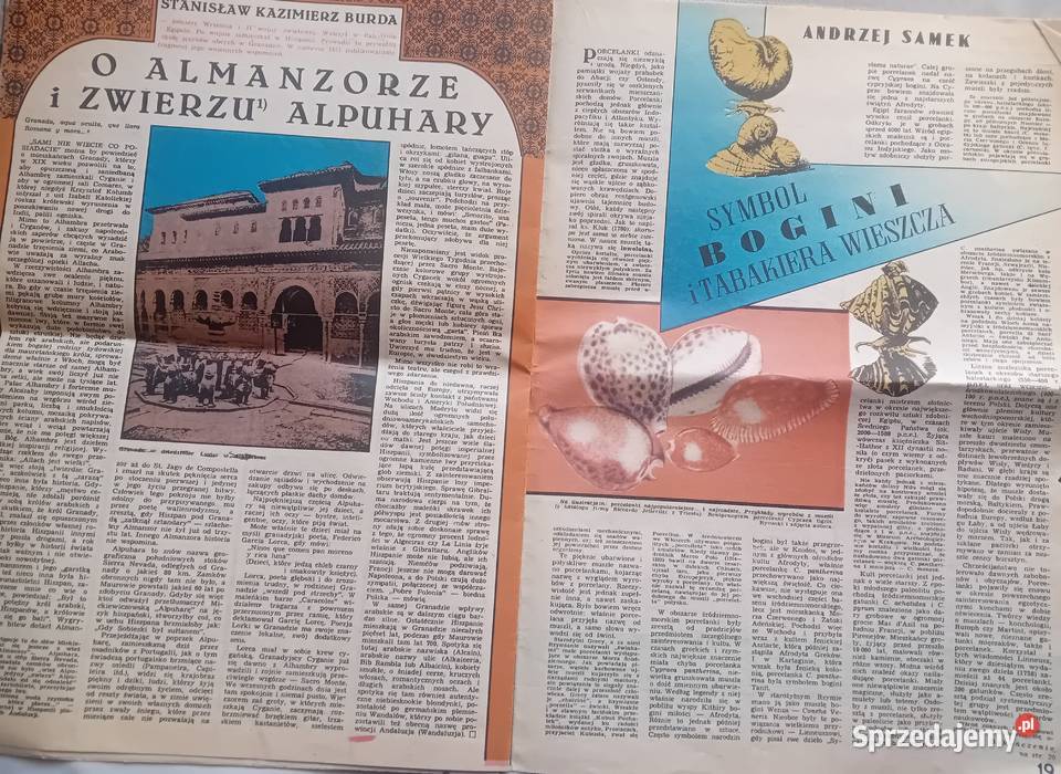 Tygodnik Przekrój 1984 13 czerwca 1983 r Antykwariat Koźminek sprzedam