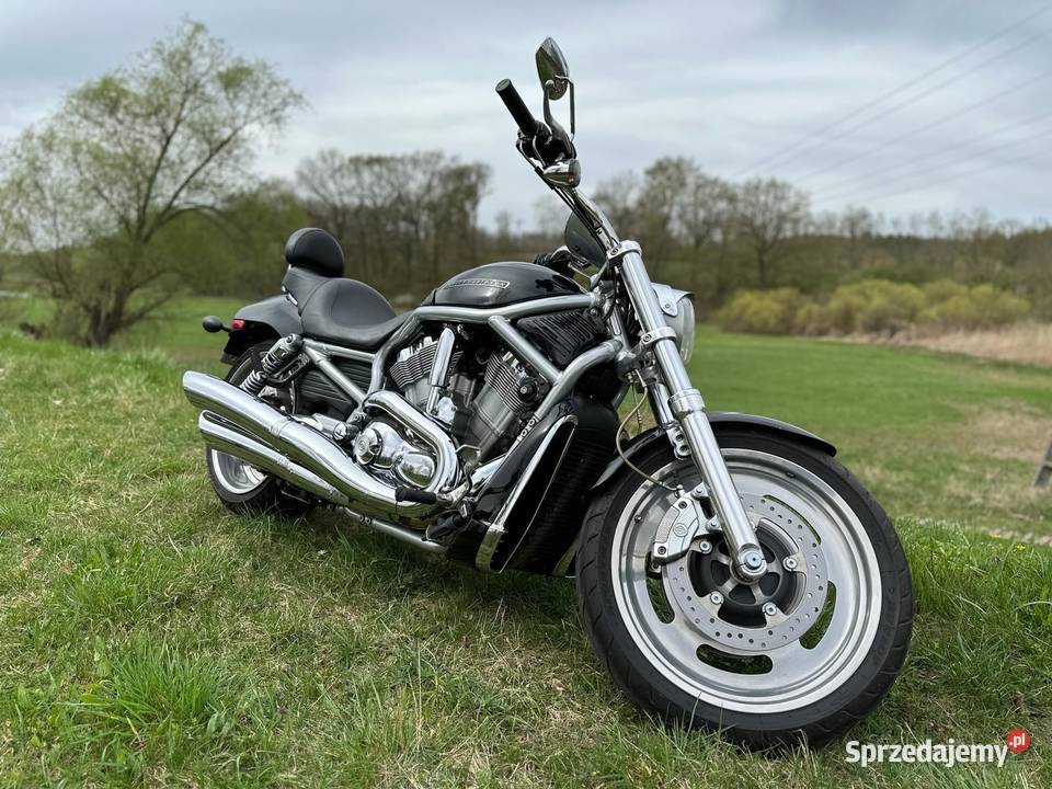 Harley Davidson Vrod Sulechów