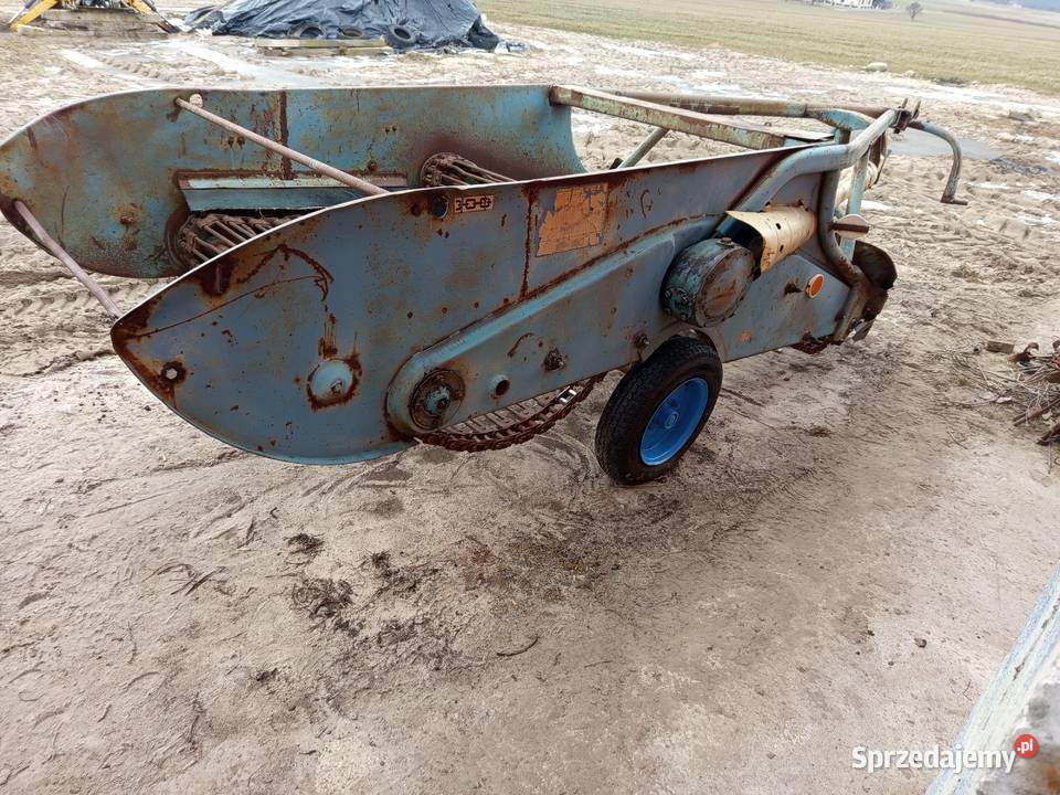 Kopaczka elewatorowa do ziemniaków koparka Kopaczki łódzkie Szynkielów