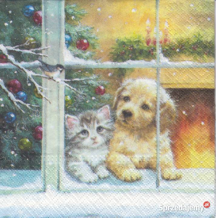 Dekupaż Boże Narodzenie zima ptaszki sikorki Skarżysko-Kamienna