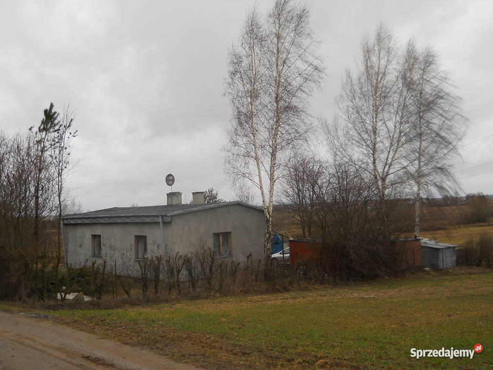dom z działką pod Mławą 15600m2 Trzcianka-Kolonia