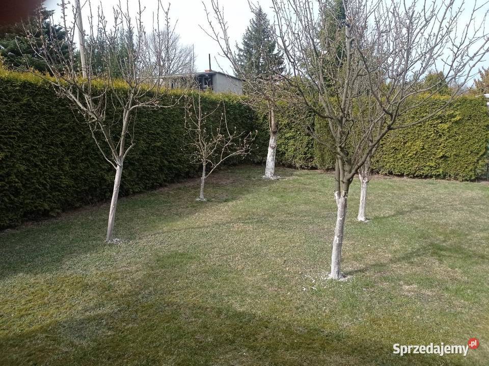 Sprzedam działkę ROD las Białołęka dworska szambo Warszawa sprzedam