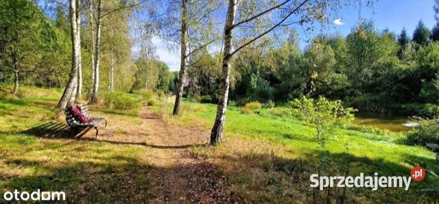 Sprzedam Dom w przepięknej w malowniczej Okolicy dolnośląskie