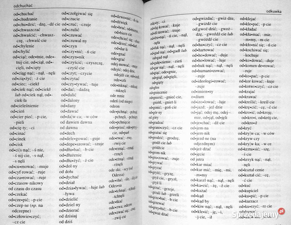 Podręczny słownik ortograficzny Zygmunt Saloni
