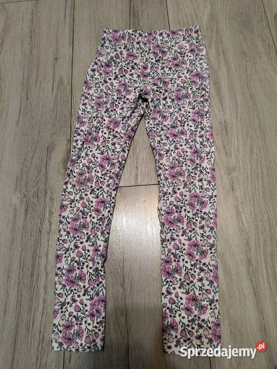 Leginsy lubelskie Kamionka