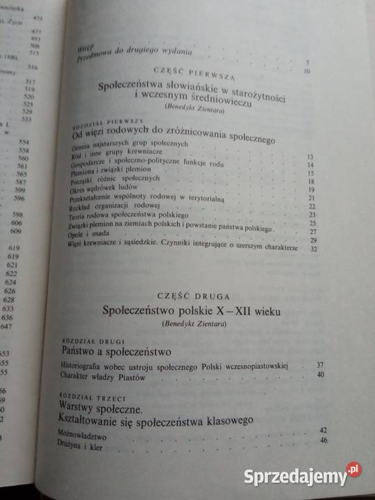 społeczeństwo polskie X do XX wieku socjologia
