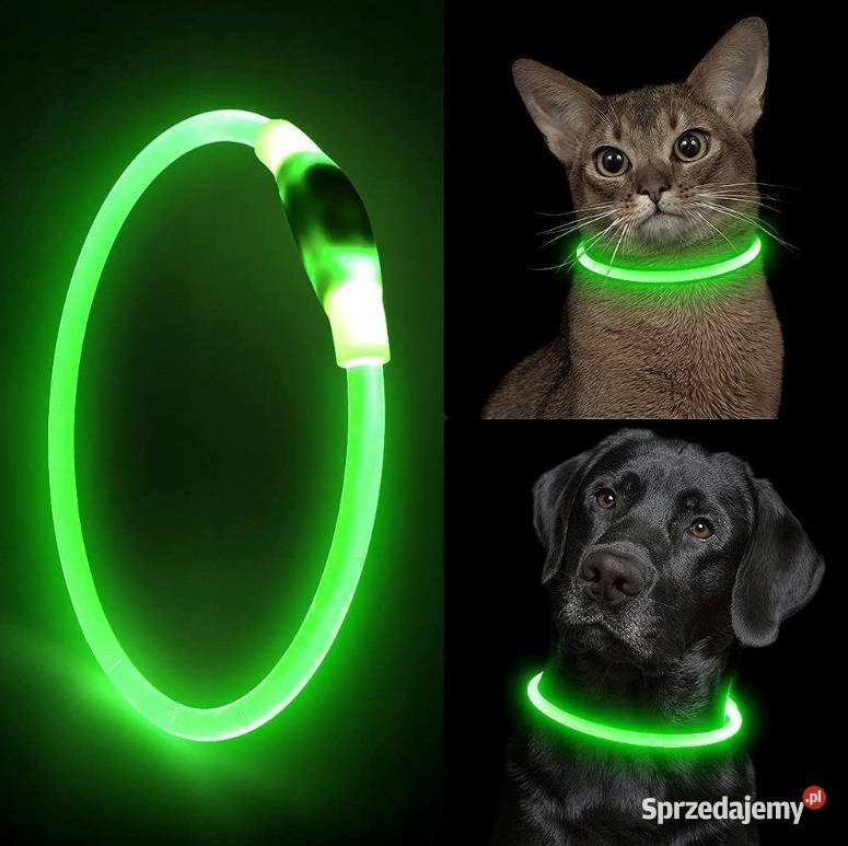 OBROŻA ŚWIECĄCA LED PSA I KOTA REGULACJA 70 Toruń sprzedam