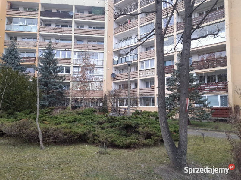 Syndyk sprzeda Nieruchomość w Gdańsku 39m2 Gdańsk