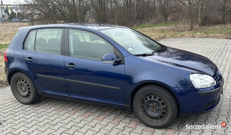 VW Golf Hatchback 2005 r ASR (kontrola trakcji) Radzionków