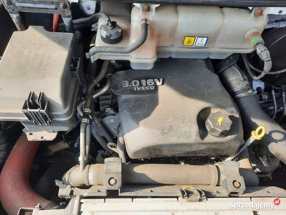 Iveco 35S17 2010r 30 HPI 7 osobowy Osielsko