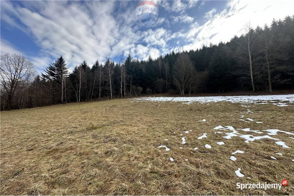 Duża działka 30 arów z 2 HA prywatnego lasu budowlana Las
