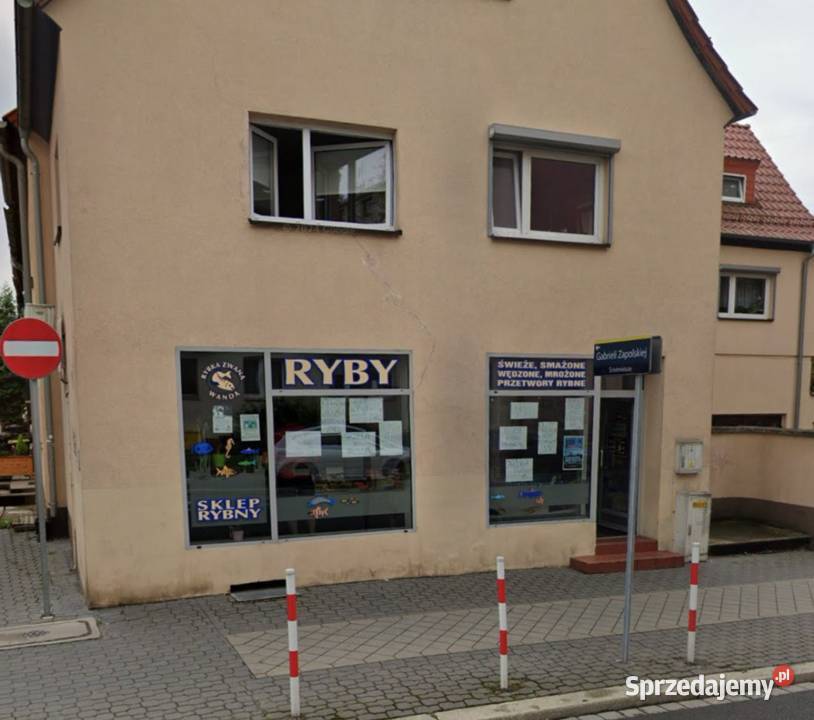 LOKAL 75m OPOLE 1MAJA DUŻE WITRYNY