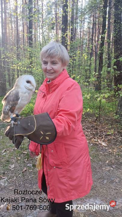 Roztocze Dziupla Pana Sowy lubelskie Bondyrz