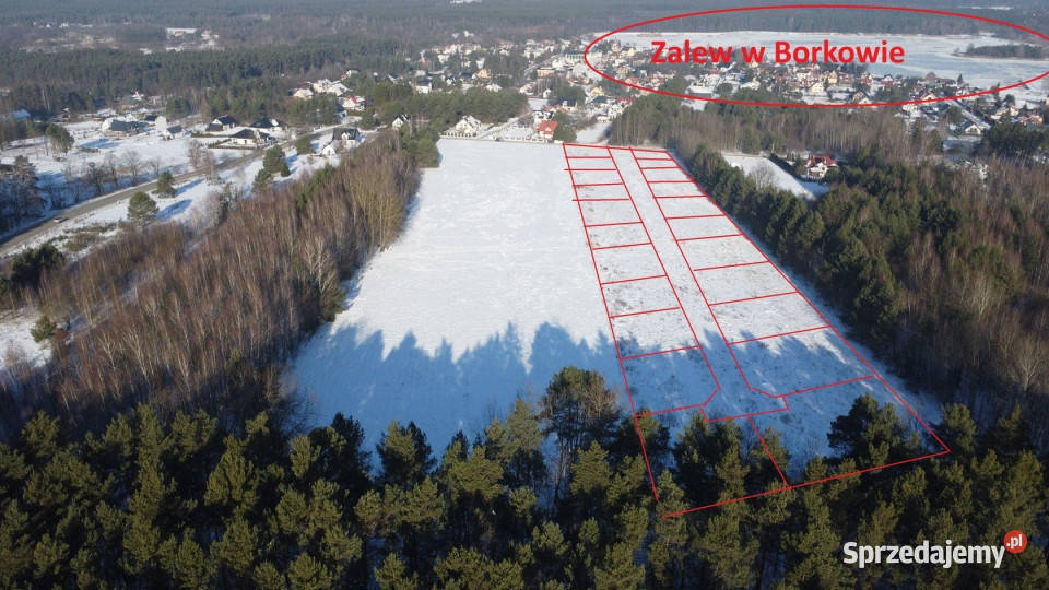 Sprzedaż gruntu Daleszyce 23170m2 kanalizacja Sprzedaż świętokrzyskie