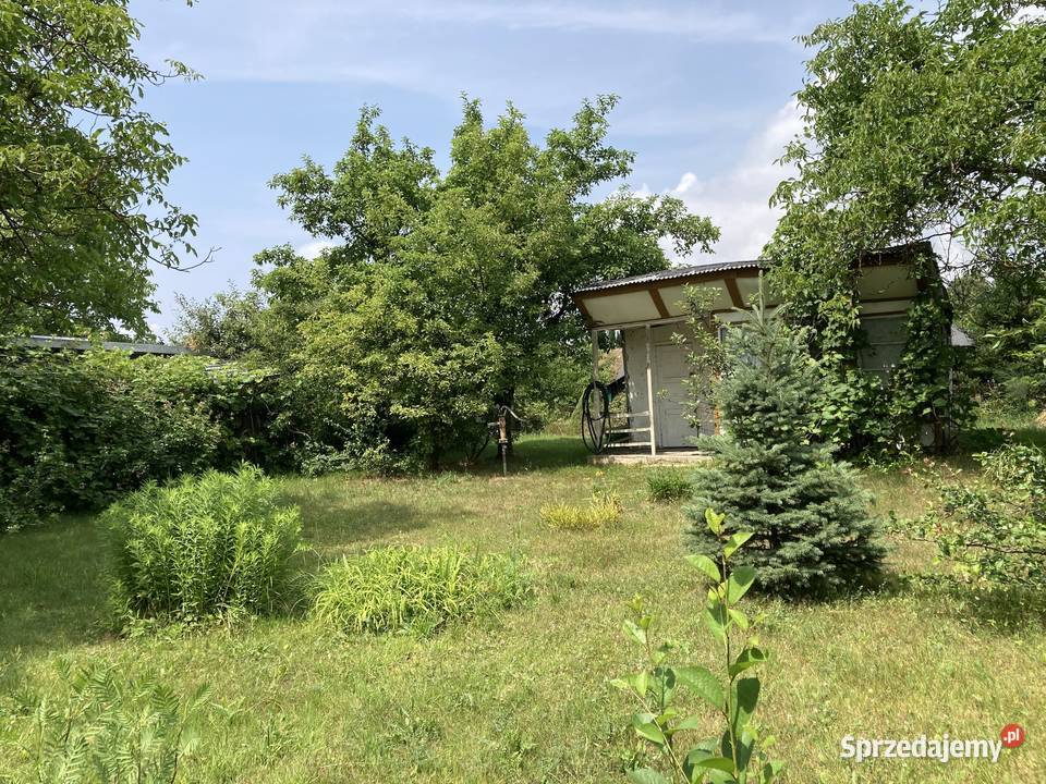 Sprzedam prawo do użytkowania działki ROD w 133zł/m2 Sprzedaż sprzedam