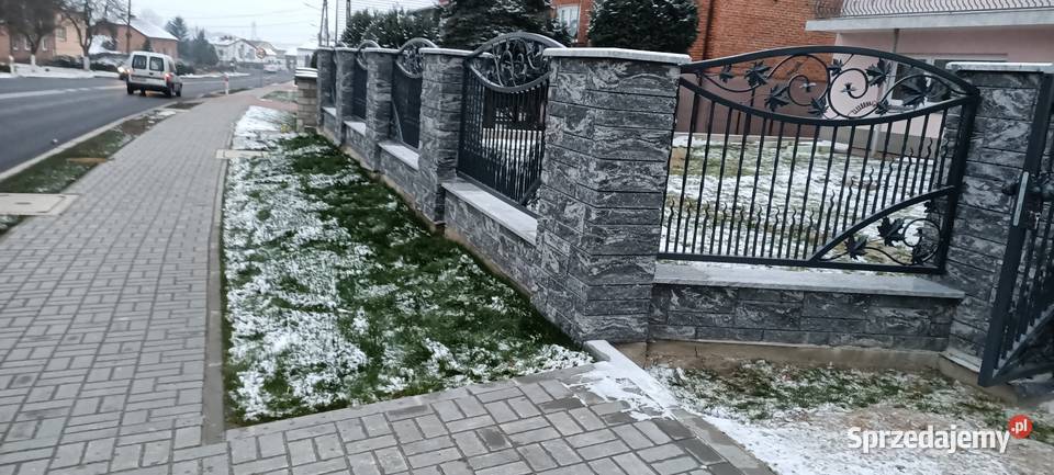 Brama kuta ocynk malowanie proszkowe grafit 7016 Ogrodzenia i bramy