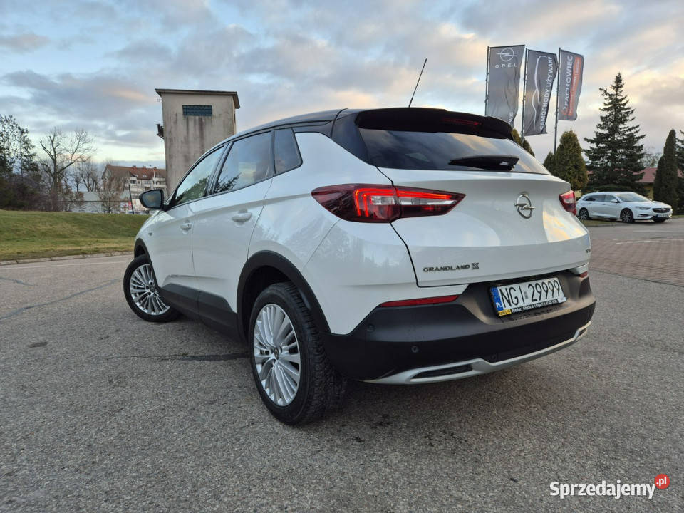Opel Grandland X Opel Giżycko