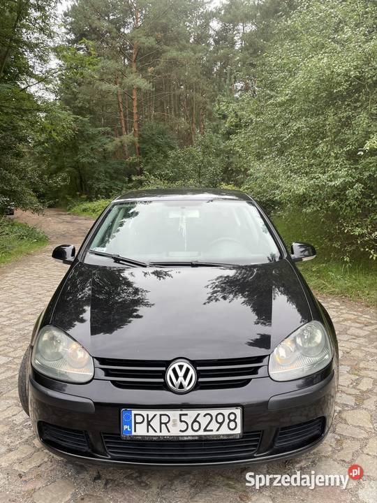 Golf 5 16 benzyna 2005 Hatchback wielkopolskie Poznań