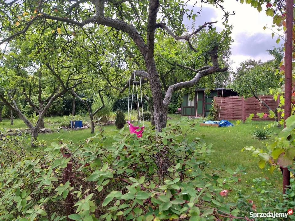 Działka rekreacyjnaa ROD LUMEL ZIELONA GÓRA 400m2 Grunty i działki Zielona Góra