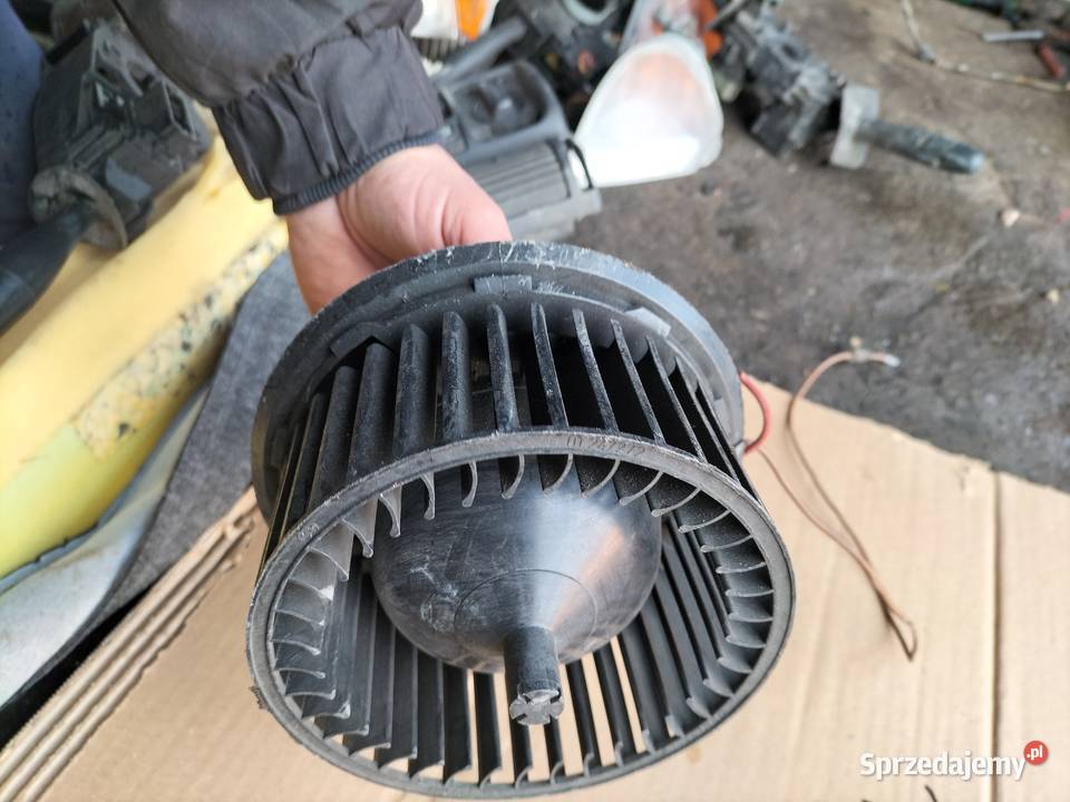 DMUCHAWA POLO 6N 6N1819021 Kamień-Kolonia