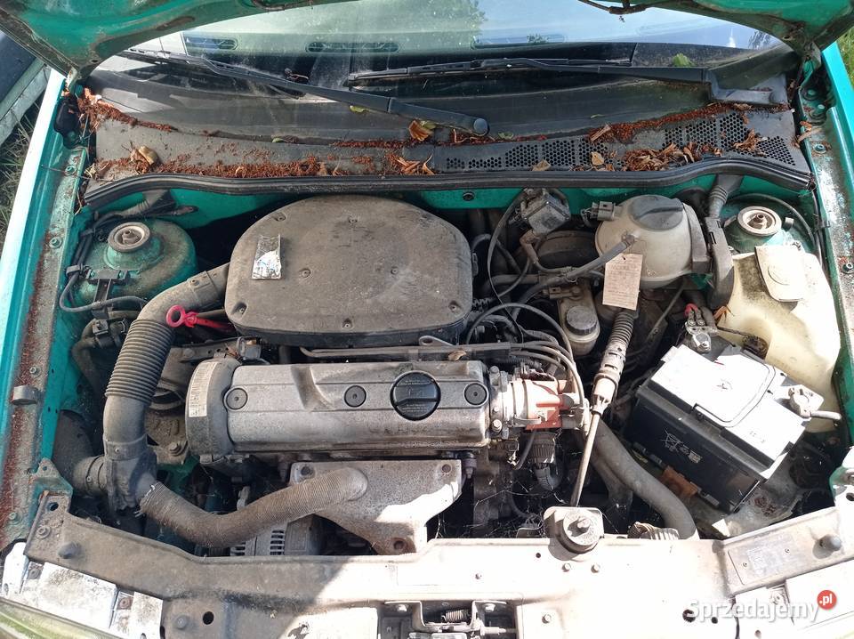 Volkswagen Polo 14 44 kW 1995 r dawca części Rok produkcji 1995 Szklarka Myślniewska