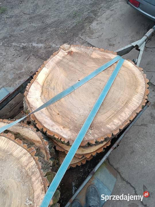 Topola kłoda drzewo drewno plastry Złotów