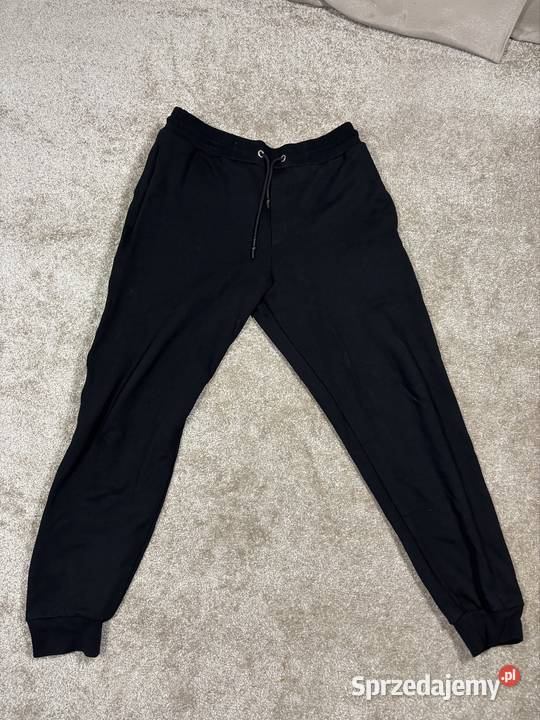 Spodnie dresowe męskie Alexander McQueen śląskie Gliwice sprzedam