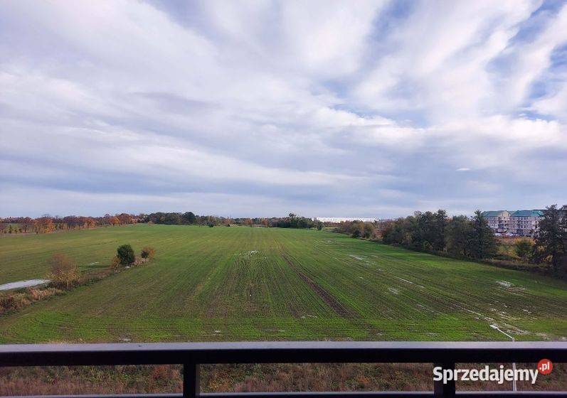 2pok 37met Odolanowskiej BALKONKOMÓRKAMP Wrocław dolnośląskie
