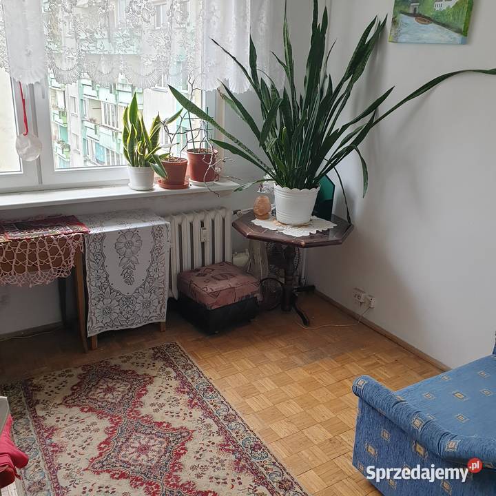 Sprzedaż mieszkania Wrocław Balonowa 60m2 wielka