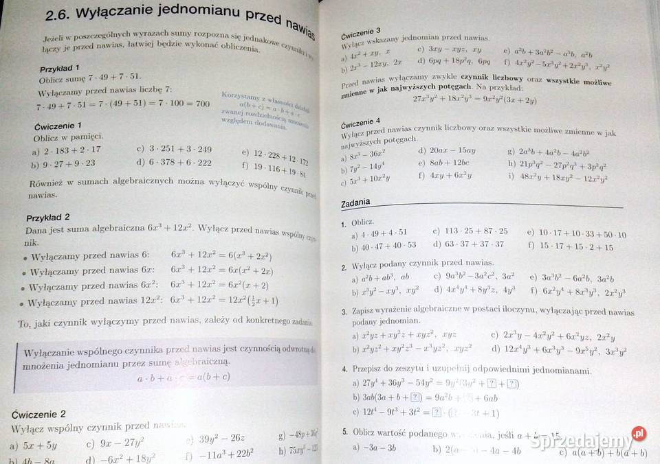 Matematyka 1 Przewodnik nauczycieli Szkoły miękka lubelskie Chełm sprzedam