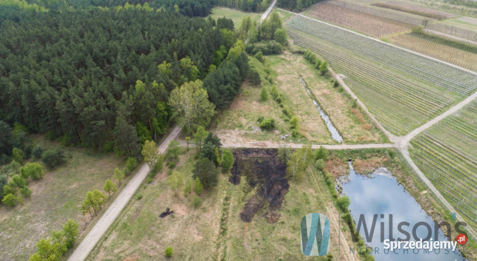 Działka 1303 metry Potycz 36m