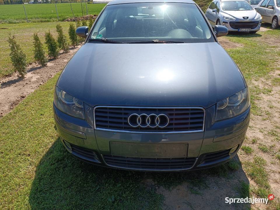 20 150 6 biegów Xenon Rok produkcji 2003 A3 Szamotuły