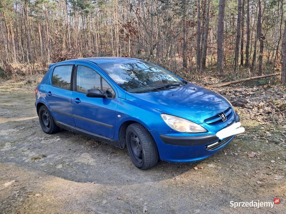 307 20 hdi 307 wielkopolskie Krotoszyn