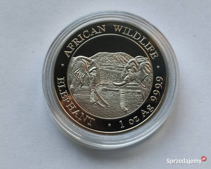 Moneta SOMALIA 100 SHILLINGS 2020 SŁONIE Numizmatyka