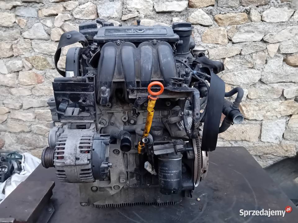 Silnik 16 Mpi BSE AUDI A3 8P VW GOLF V SEAT osobowe Gołaszyce
