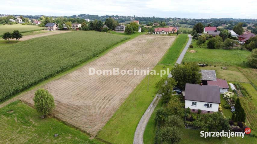 sprzedaży działki Bieńkowice 6000m 6031m2