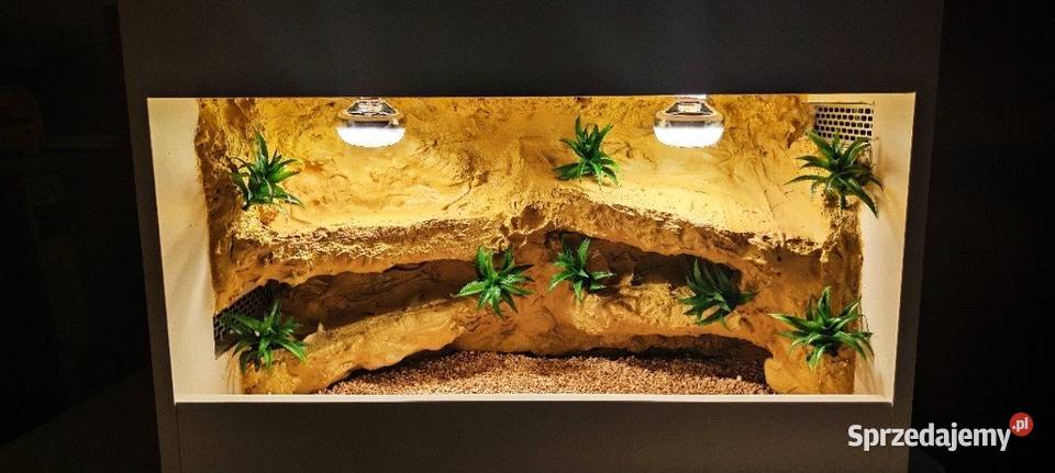 Okazja terrarium gekona lamparciego agamy mazowieckie Ciechanów