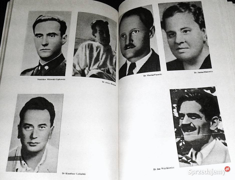 Akcja Kutschera Piotr Stachiewicz Chełm