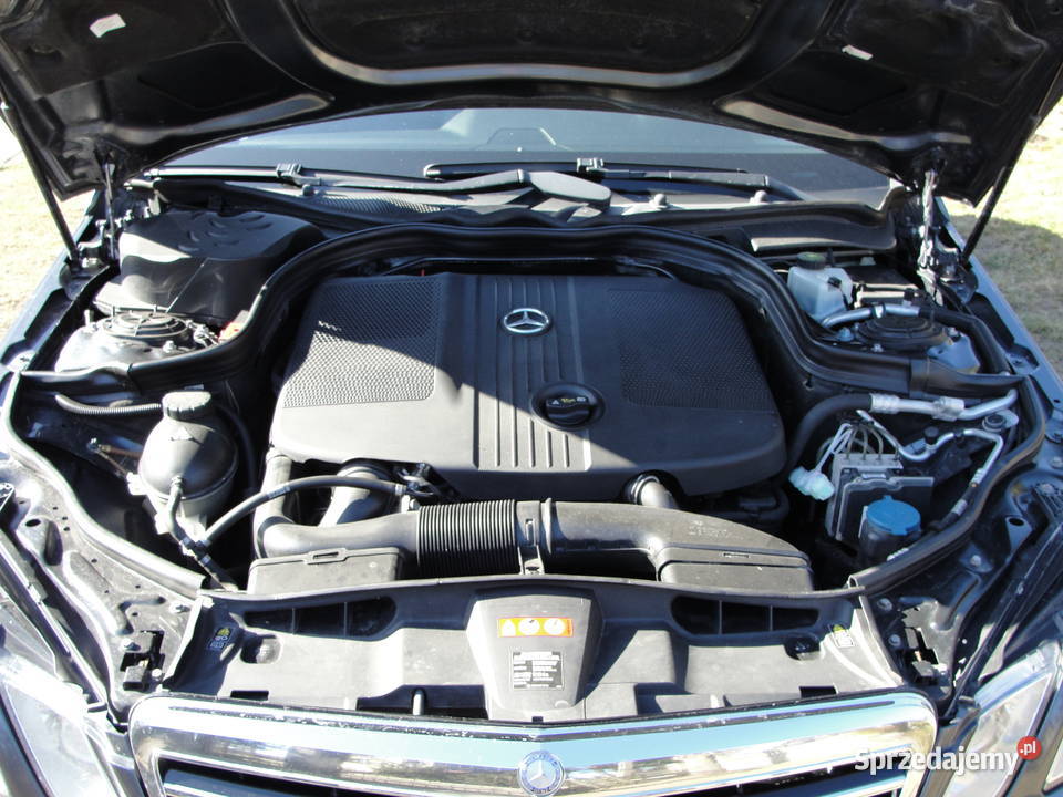 MercedesBenz Klasa E 220 CDI BlueEff Avantgarde diesel Dąbrowa