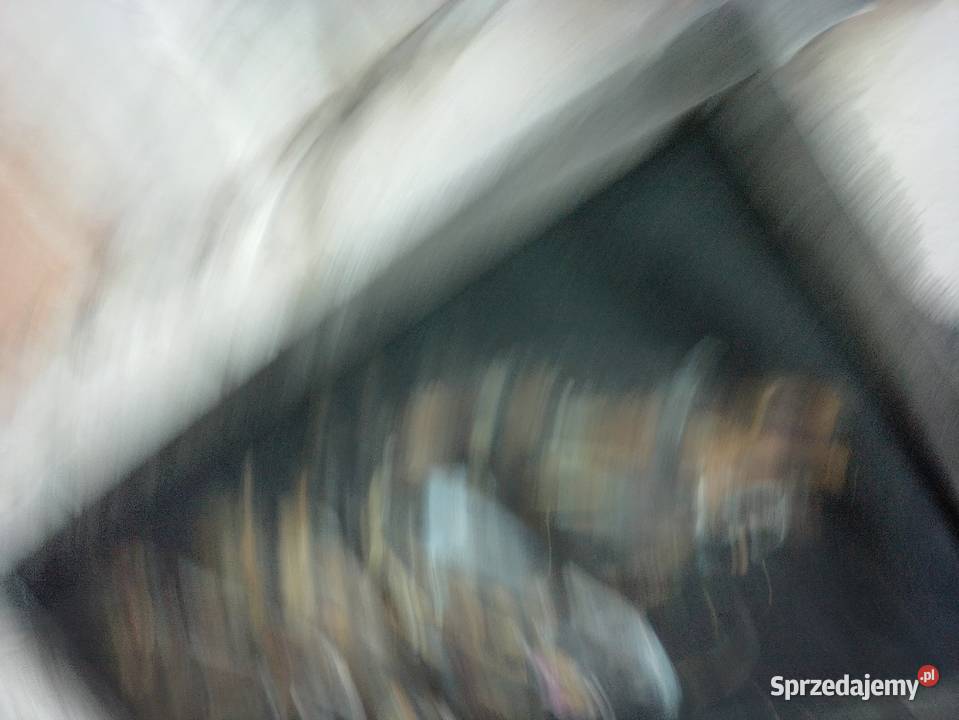 Obraz stary zabytkowy przedwojenny łonie w Jarosław