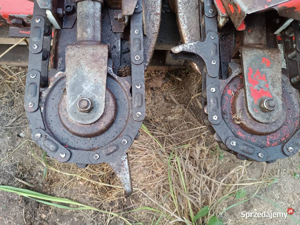 PRZYSTAWKA DO KUKURYDZY OLIMAC DRAGO 4 łódzkie Kozierogi