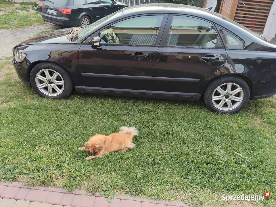 Volvo s40 lubelskie Potok Wielki