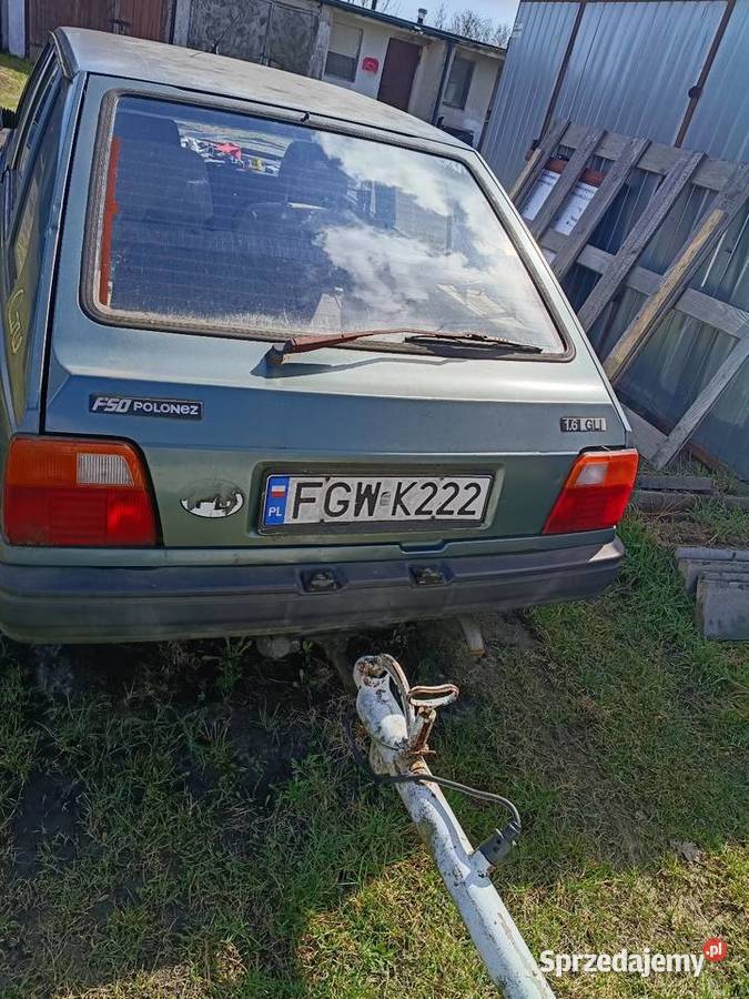 Polonez Caro