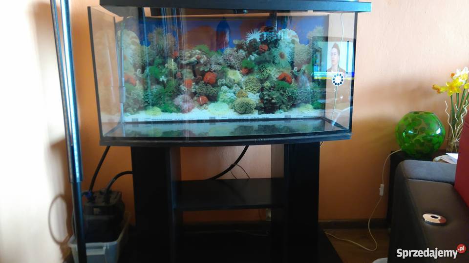 AKWARIUM 150L Z SZAFKĄ OSPRZĘT Sosnowiec
