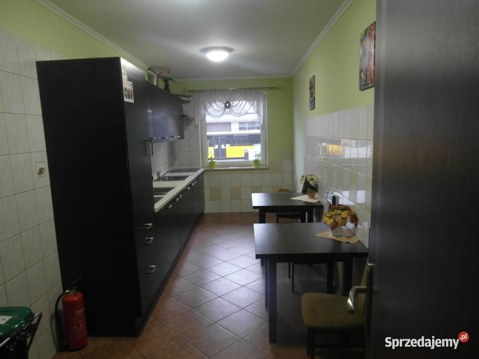 Wynajmę pokój Sosnowiec 850 miesiąc WIELKA