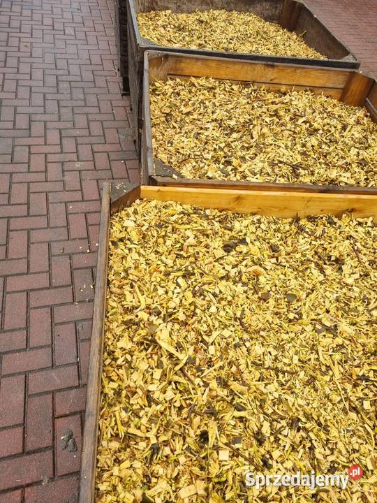 Wynajem rębak do gałęzi rozdrabniacz mazowieckie Celestynów